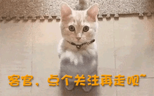 但是没想到