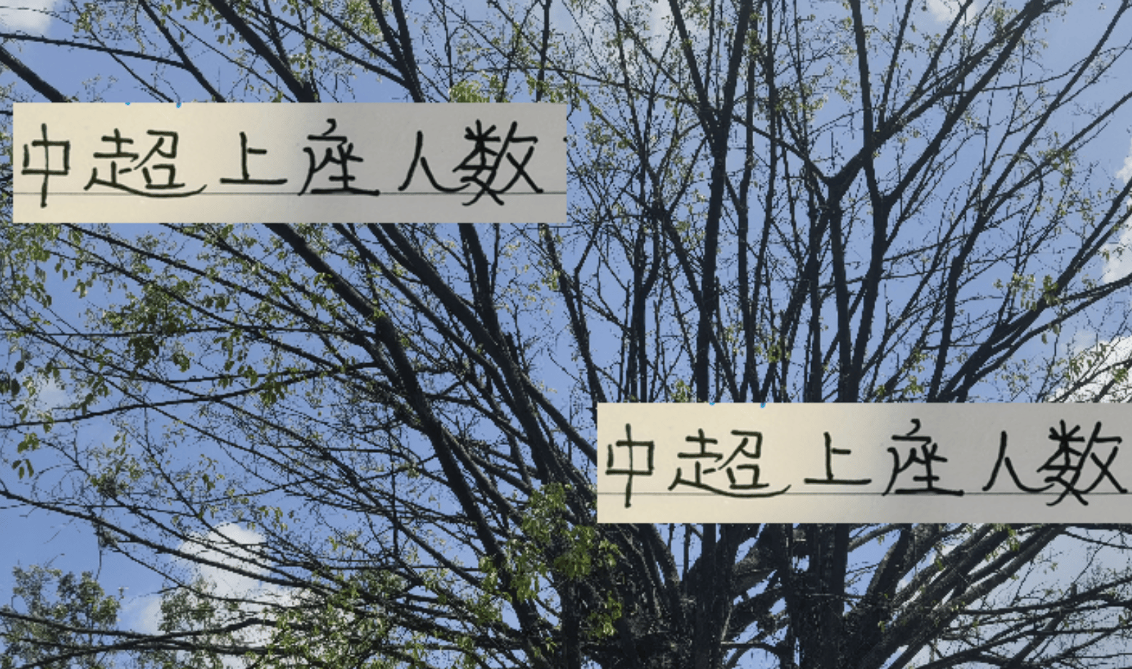 但体育场天, 根据德转数, 面有可能破