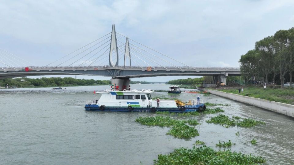 水葫芦攻坚, 全面保障方, 体现着上海